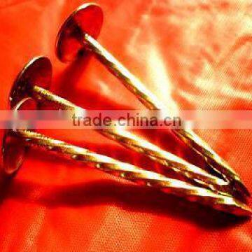 Kenya Market Umbrella Head Galvanzied and Twisted Shank Roofing Nails photo-6