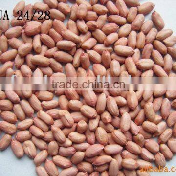 2013 fresh shandong groundnut kernels