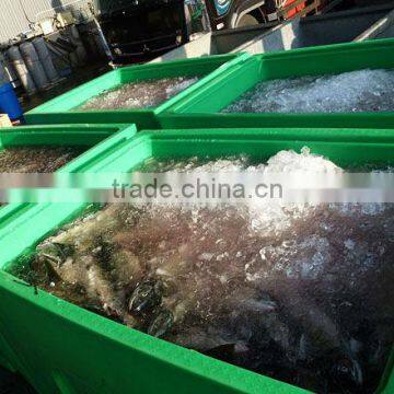 seafood processing plastic containers