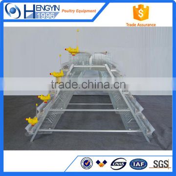 Commercial chicken house/chicken equipment