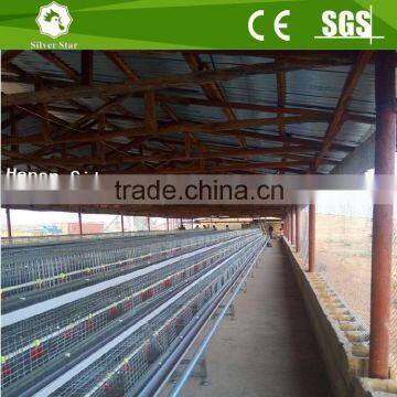 A Type Battery Broiler Chicken Cage/poultry Farm Automatic Chicken Cage for Sale photo-5