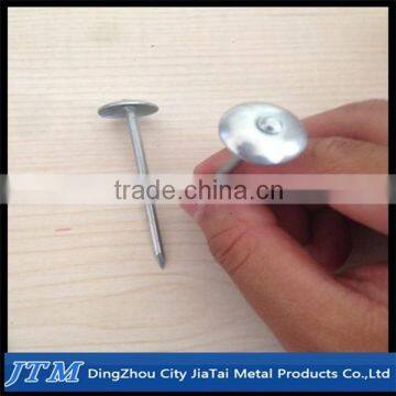 Q195 Galvanized Umbrella Head Roofing Nails With Smooth Shank