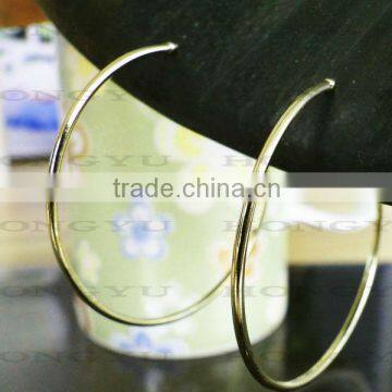 Fashion Hooped Earrings