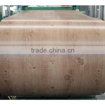 Hot Sale Galvanized Price Steel Coil/PPGI PPGL for Building Material photo-6