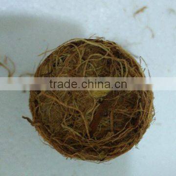 Palm Fiber Biomass Pellet photo-3