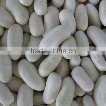 2015 crop White kidney bean Baishake type