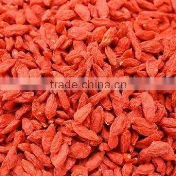 100% Natural Goji Berry Extract Free Sample Goji Berries for Sale photo-4