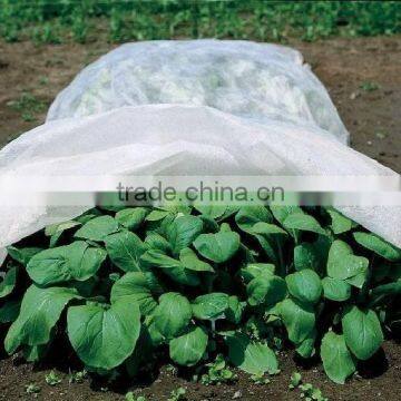 non woven fabric for garden protection plant cover 55gsm