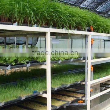 BK Conveyor Culture photo-2