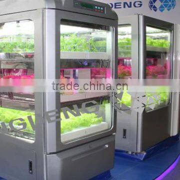 Family Gardening Service and Products photo-3