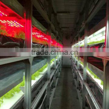 Container hydroponic channel