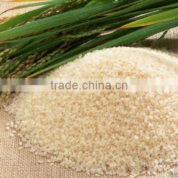 2048 Pixel Camera Rice Color Sorter With High Sorting Accuracy photo-3