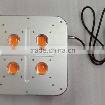 1000w Led Grow Lights,lamp Plant Grow Light,grow Plant Light 300w 600w photo-4