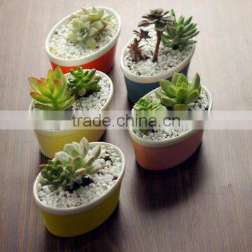 New Design Ship Shape Colorful Ceramic Flower Pots for Livingroom photo-3