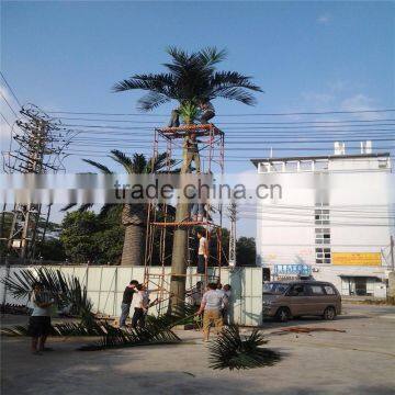 2017 Hot Sale Royal Palm Tree Ornamental Artificial Washingtonia Robusta Palm Trees for Sale photo-2