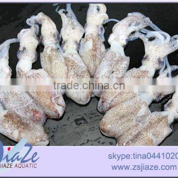 Frozen Seafood Baby Squid photo-2