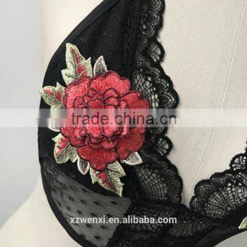 Sexy Underwear Woman Transparent Nighty Photos Lingerie Sexy Bra and Panty New Design Sexy Net Bra Flower Embroidery Bra