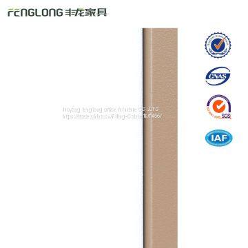 All Storage Steel Swing Door Filing Cabinet Factory Direct 2 Door File Cabinet photo-4