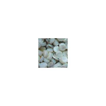 Sell Whitelip MOP Shell Blank