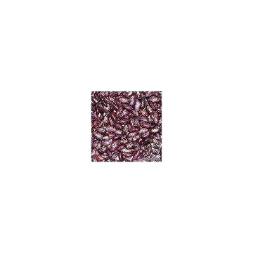 Sell Dark Red LSKB