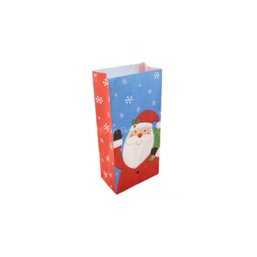 Paper Bag for Christmas Gift