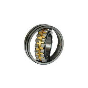 Rollway Bearing