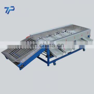 Newest Professional small coffee bean sorting machine shrimp weight for commercial