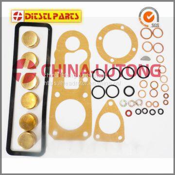 Diesel Fuel Pump Repair Kit 1 417 010 003 for Cummins Engine Overhaul Kits photo-4