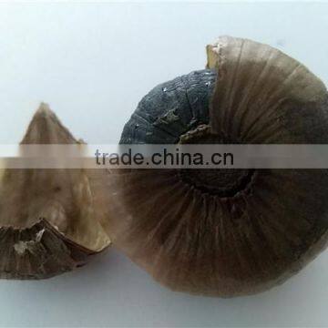 Chinese Black Garlic photo-4