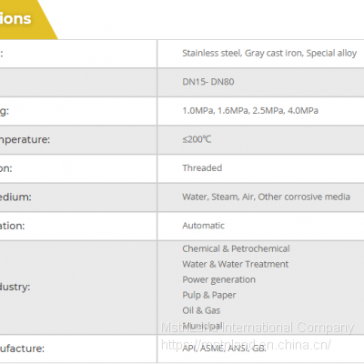 Mstnland SPRING LOADED LOW LIFT TYPE SAFETY VALVE photo-2