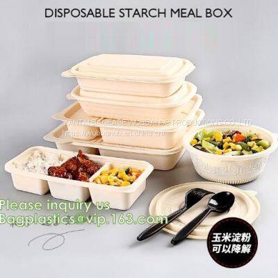 Dishes & Plates Dinnerware Blister Packaging Resturant Disposable Food Serving Tray Food Disposable Container photo-4