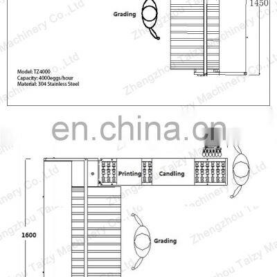 Commercial Egg Sorting Machine Small Egg Grader With Accumulator Lifter Egg Grading Machine photo-4