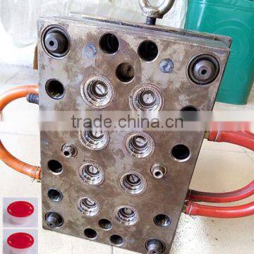 Professional manufacturer design and make plastic mold/ mould