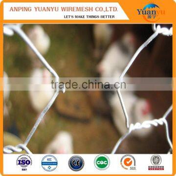 Hexagonal wire netting/chicken wire/hexagonal wire mesh