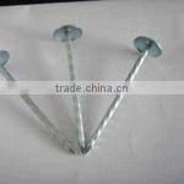 roofing nail