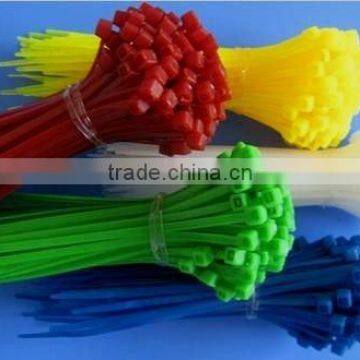 cable ties(kinds of nylon tie)