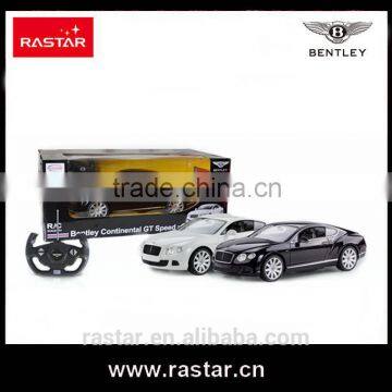 Rastar china factory kids toys 1:14 scale rc car battery