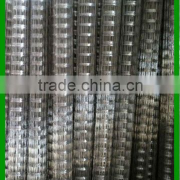 Hot dipped galvanized wire mesh roll wire fencing