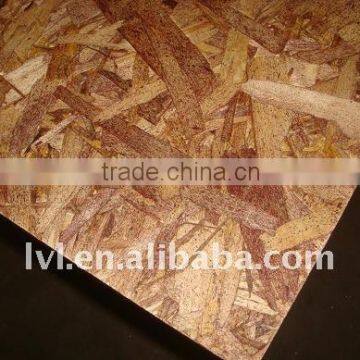 good prcie OSB boards ( 1220*2440*12mm )