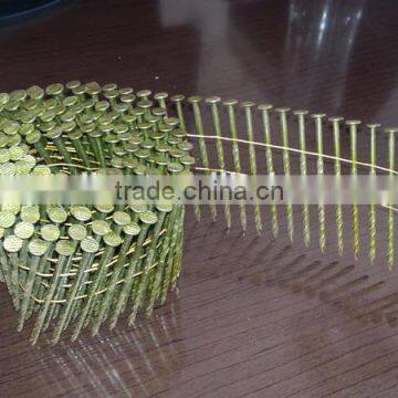 Galvanized Pallet Coil Nails with high quality and competitive price