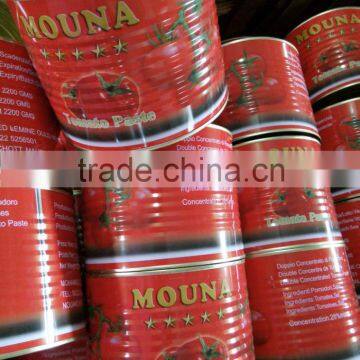 Hot sell good quality and best price canned tomato paste 2200g