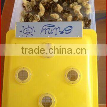220v/110v Full Automatic Setter And Hatcher Combined Chicken Egg Incubator For Sale