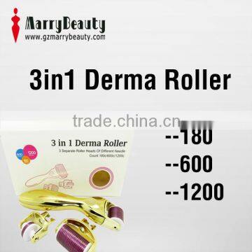 Beauty salon equipment 3 in 1 derma roller