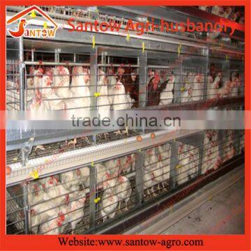 Excellent quality low price commercial chicken house