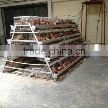 A type galvanized automatic chicken feeder for sale