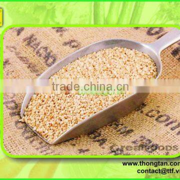 White sesame seed from Vietnam( Thongtan foodstuff)