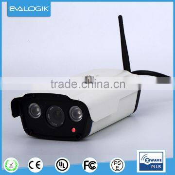 IP camera (outdoor)