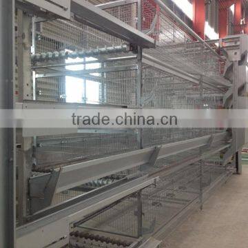 Automatic Chicken Poultry Equipment for Poultry Farm