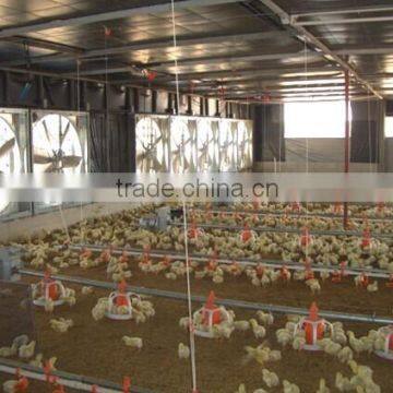 chicken broiler farm