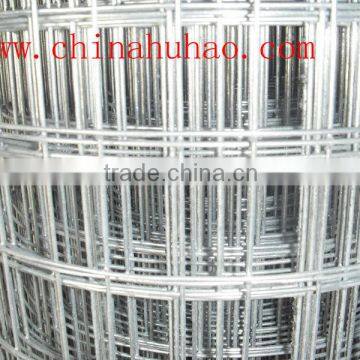 Welded wire mesh ( Electro or hot dipped galvanized )